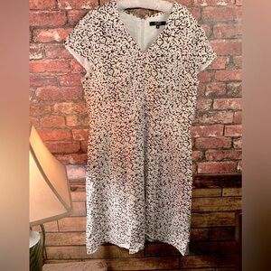 Alex Marie size 16 short sleeve collared dress